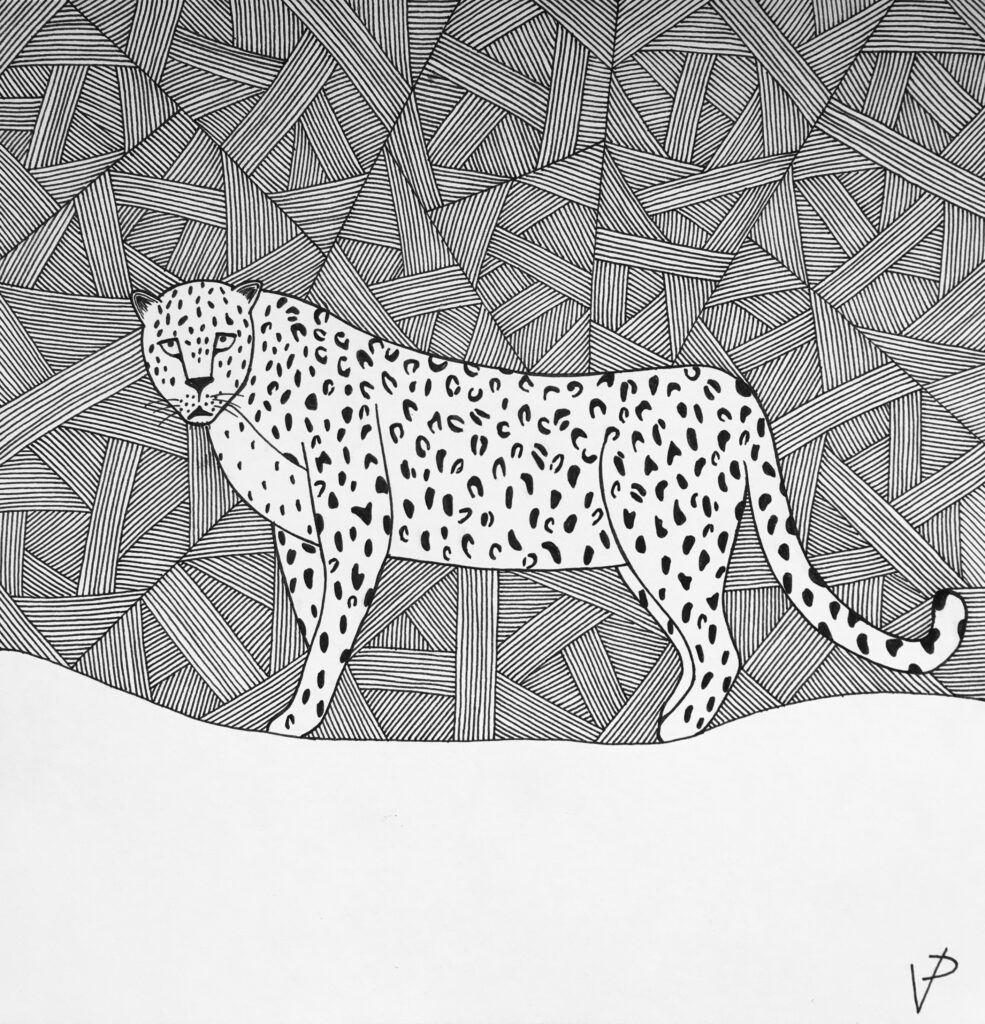 Persian leopard standing illustration