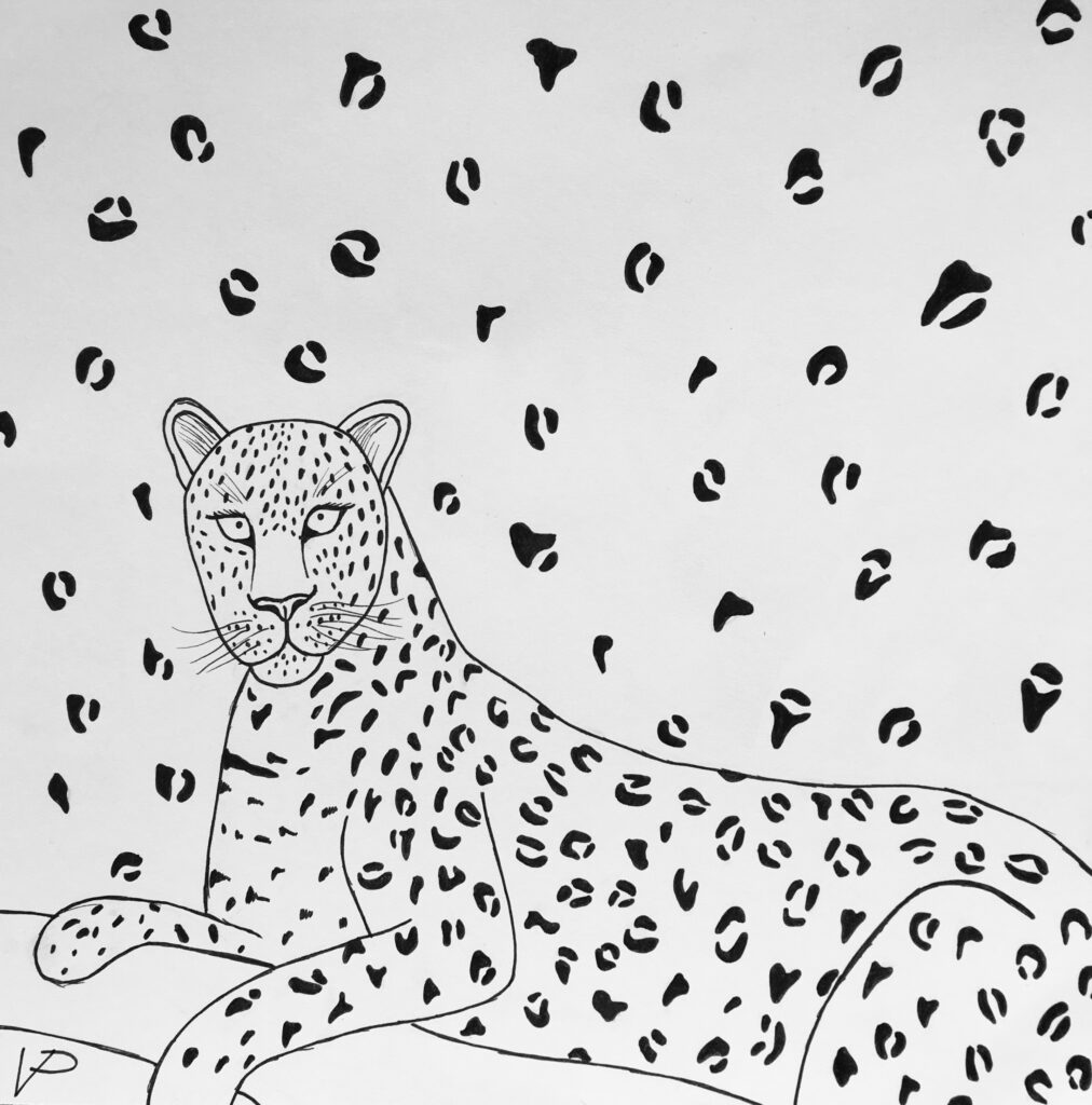 Persian leopard 