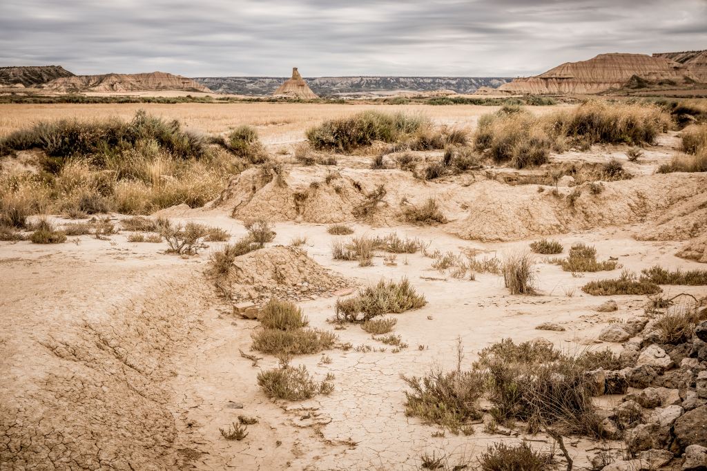 Dryland in Spain by Bernard Hermant