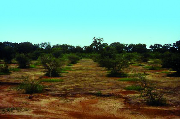 Arbole, Burkina Faso, 1990 (2 years later)