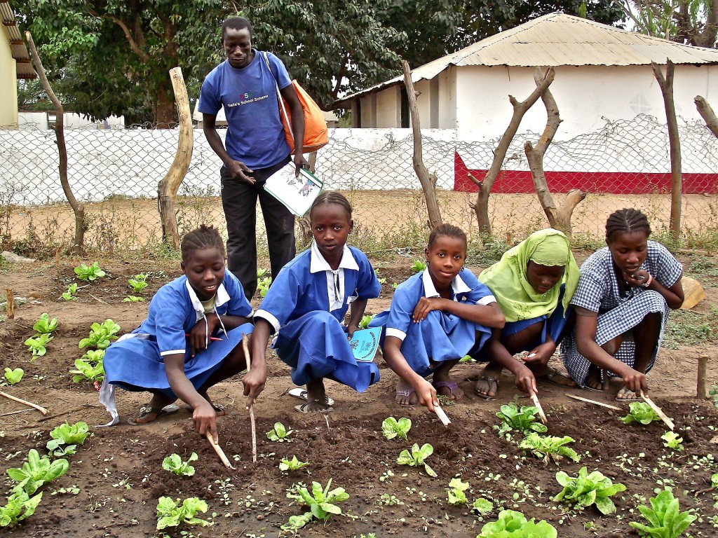 A school in Gambia received seeds from Seeds for Food