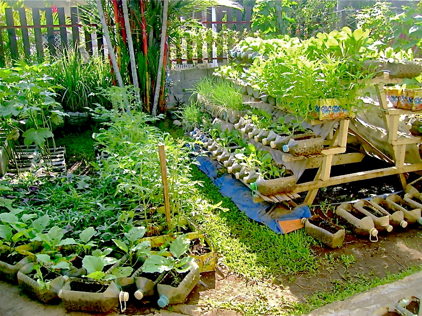 Container gardening