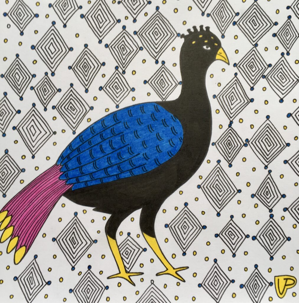 Illustration of Blue-billed curassow